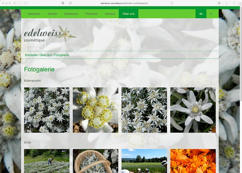 edelweiss cosmétique Galerie